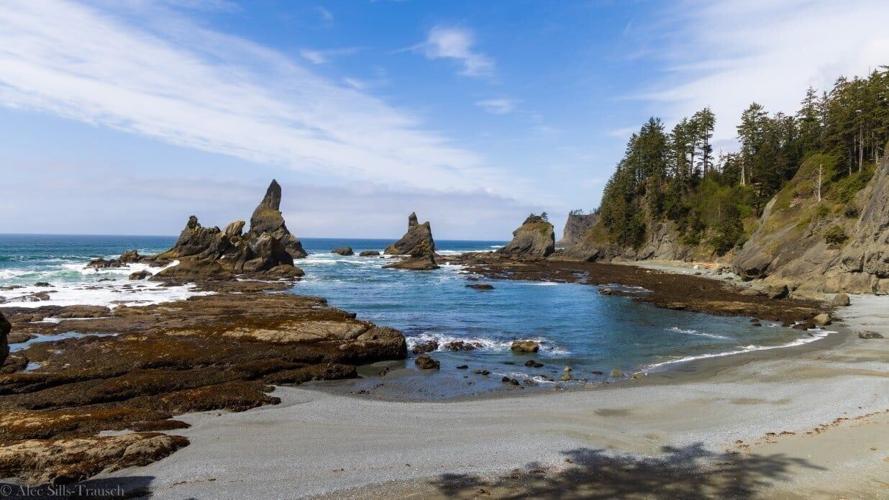 shi shi beach 861A5494 (Custom)