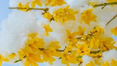 Coldest Aprils in Alabama since 1895