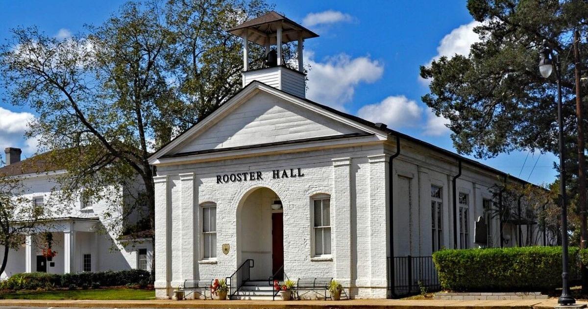 Demopolis talks next steps to improve downtown, reappoints Stephens to school board