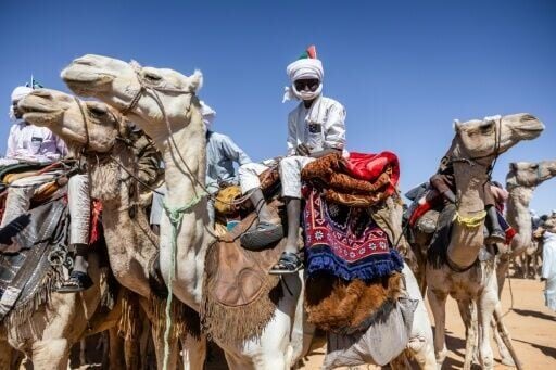 Camels are a vital feature of Saharan nomadic life