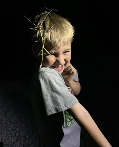 ALBBA 2025 Road Trip Photo Contest 2