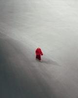 National Geographic unveils winners of its photography competition