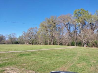 Valley Creek greenspace
