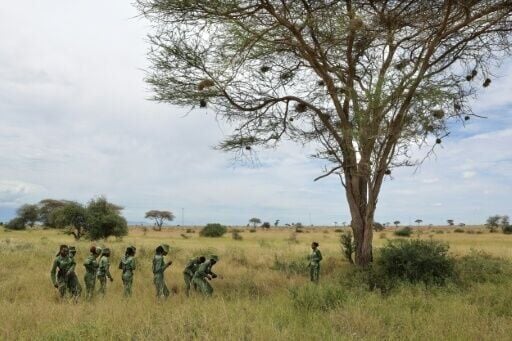 A Maasai solidarity NGO has called for a five-year pause on all such schemes until they can be properly evaluated