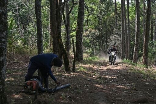 Volunteer firefighters use motorcycles to navigate paths in the forest