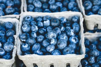 Extend the growing season of blueberries and other summer fruits