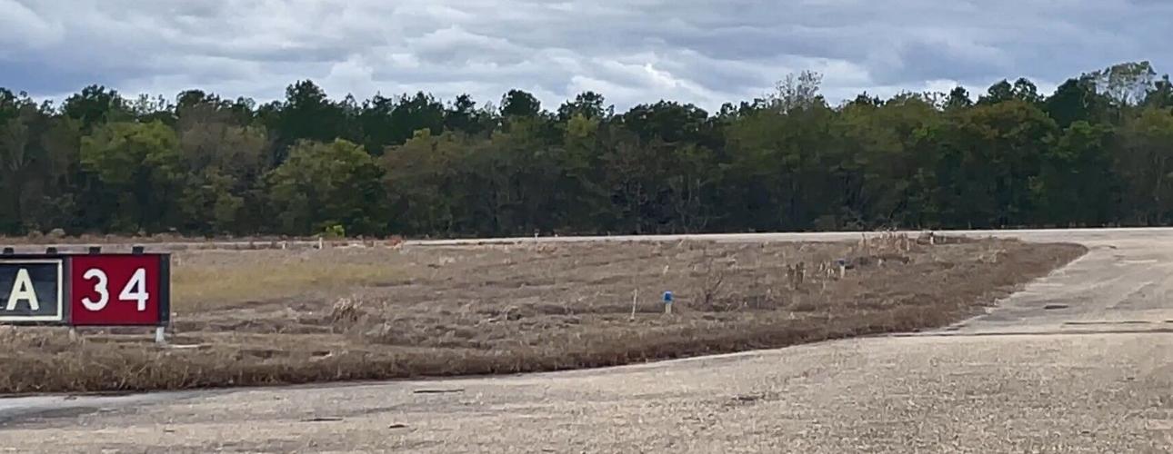 Trees at Vaiden Field