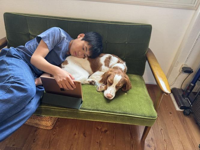 Pet dogs boost teenagers’ mental health “by changing microbes in their bodies”