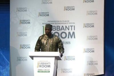 Senegal PM unveils economic recovery plan based on domestic resources