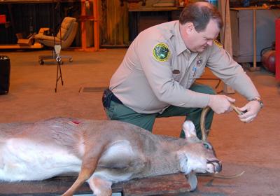 WFF biologist Chris Cook