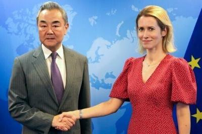 China, EU should not 'seek confrontation': FM Wang