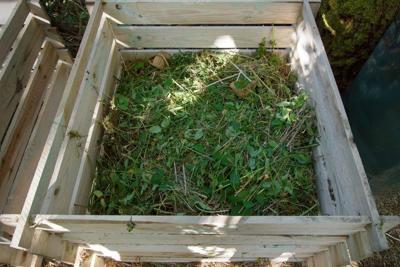 Backyard composting year-round