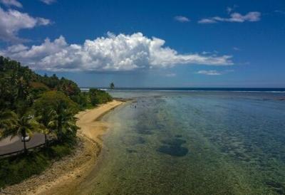 Pacific island nations such as Fiji hoped to co-host next year's COP climate summit alongside Australia.