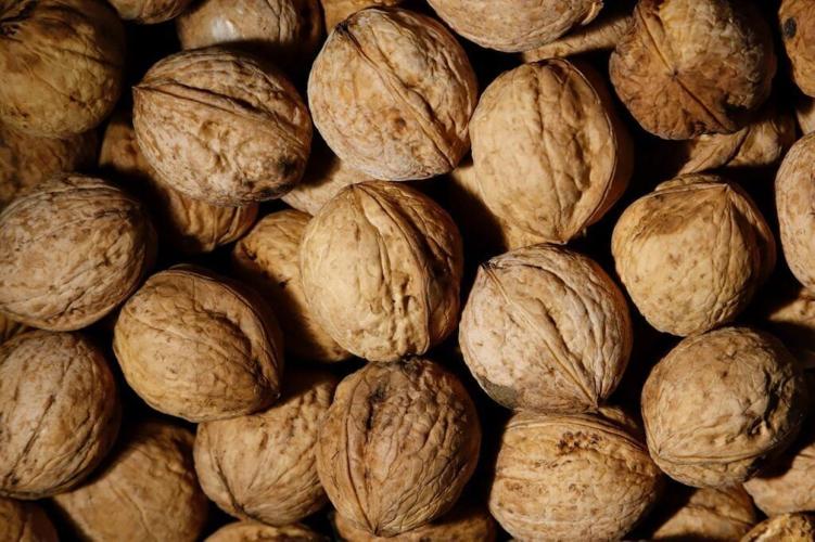 Study suggests eating walnuts may reduce risk of bowel cancer