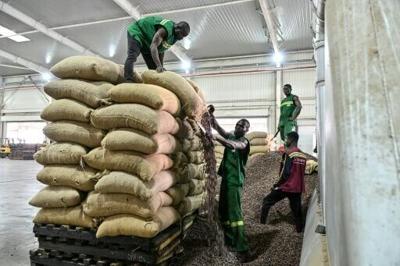 The cocoa sector accounts for 14 percent of Ivory Coast's GDP