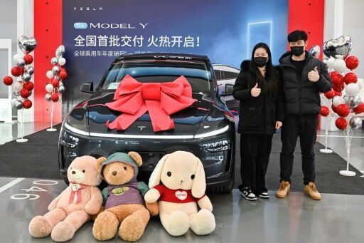 'No need to overthink': China Tesla fans unfazed by Musk politics