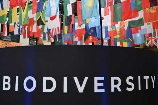 'Matter of survival': Nations spar over nature funding at UN talks