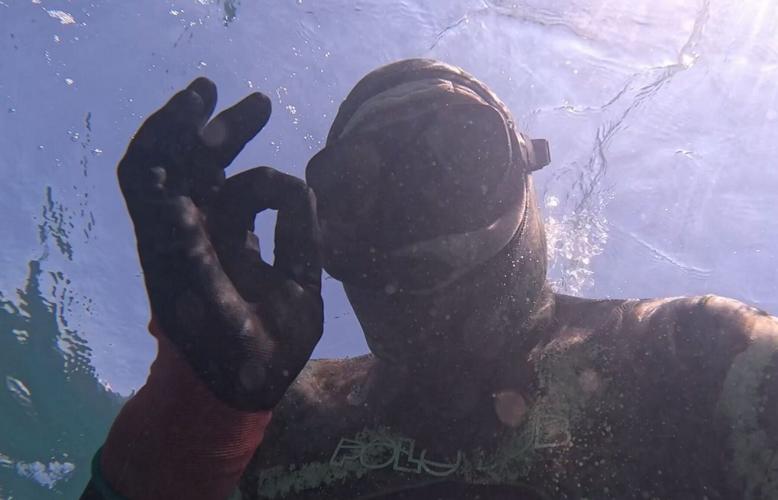 Watch divers save a shark’s life – after finding it stuck with hook in her mouth