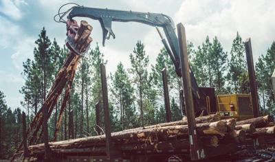 Logging from ADN