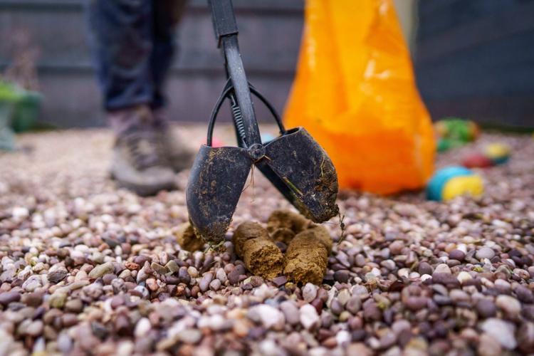 “I set up a side hustle picking up dog poo and I’ve doubled my monthly income”