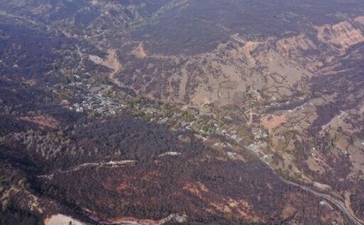 Human activity is also taking a toll on the forest