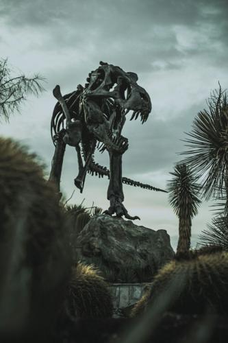 mac-cervantes-nKSScdYgbMA-unsplash