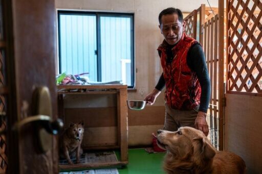Not far from the Fukushima nuclear disaster site, former plant worker Toru Akama tends to dozens of pets abandoned after the catastrophe 15 years ago