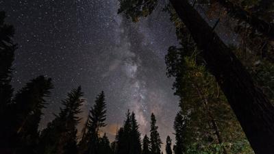 A Festival Among Giants: Celebrating the Dark Sky in Sequoia and Kings Canyon
