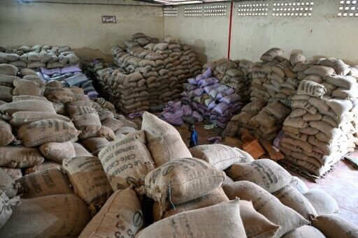 Ivorian cocoa growers complain of a hold-up in the export and sale of their crop, leading to a pile-up in warehouses