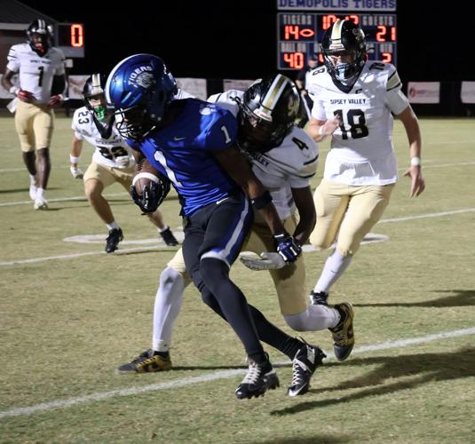 Demopolis football