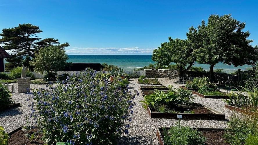 KrusmyntagĂĄrden Overlooking the Baltic Sea
