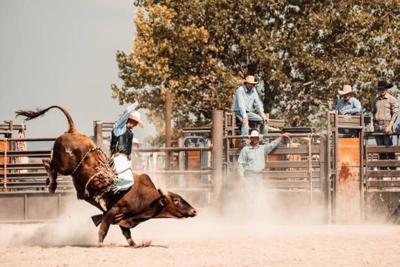 2nd Annual Monroe County Rodeo set for Aug.12-13