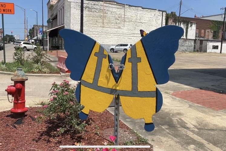 butterfly.jpg