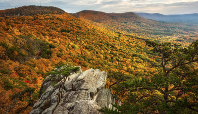Mt. Cheaha from the Alabama State Parks System