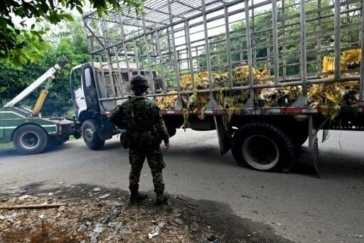 A truck loaded with chickens was set on fire by alleged guerrillas in Colombia's Valle del Cauca department