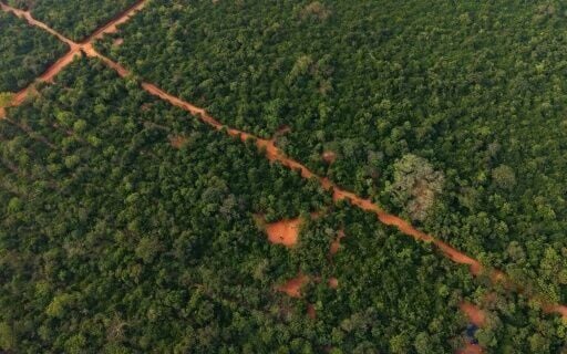 The Achimota Forest is a stretch of green in Ghana's capital Accra