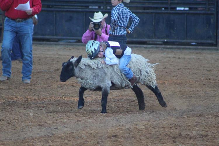Marion Rodeo mutton busting