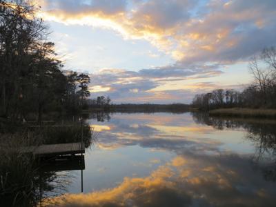 Roland Cooper State Park lake