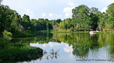 Foscue Creek Park at Lake Demopolis