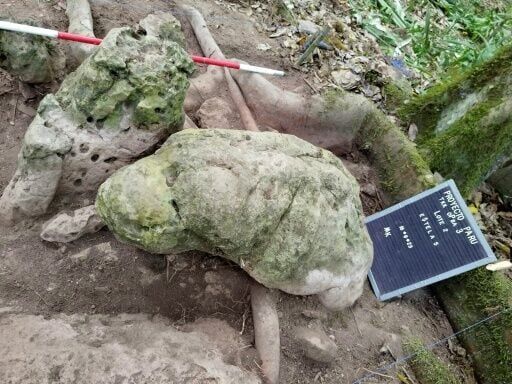 Remains of Mayan city nearly 3,000 years old unearthed in Guatemala