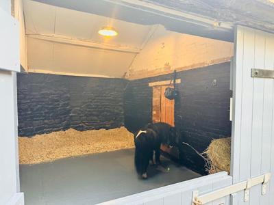 £180-a-night Airbnb – where you sleep in a barn with a horse