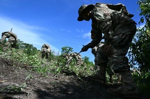 Bolivian soldiers participate in a coca crop eradication operation