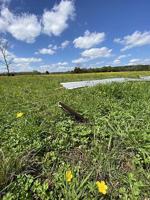 Storm damage in Safford last week caused by tornado, photo gallery