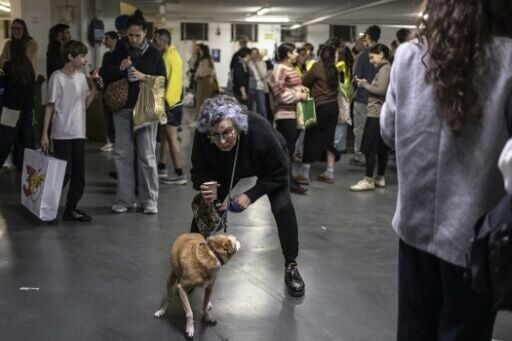 Authorities in the Tel Aviv metropolitan area say that pets can't be prevented from entering shelters