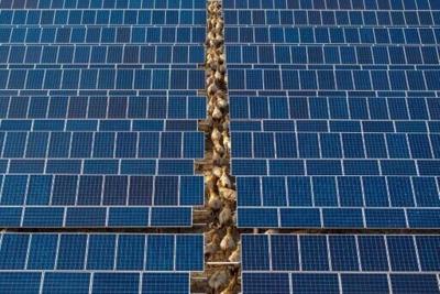 China first-quarter emissions fell despite rising power demand