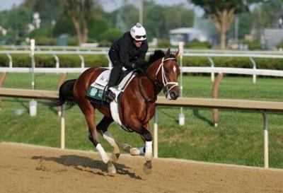 Journalism, Sovereignty to meet again in Belmont Stakes