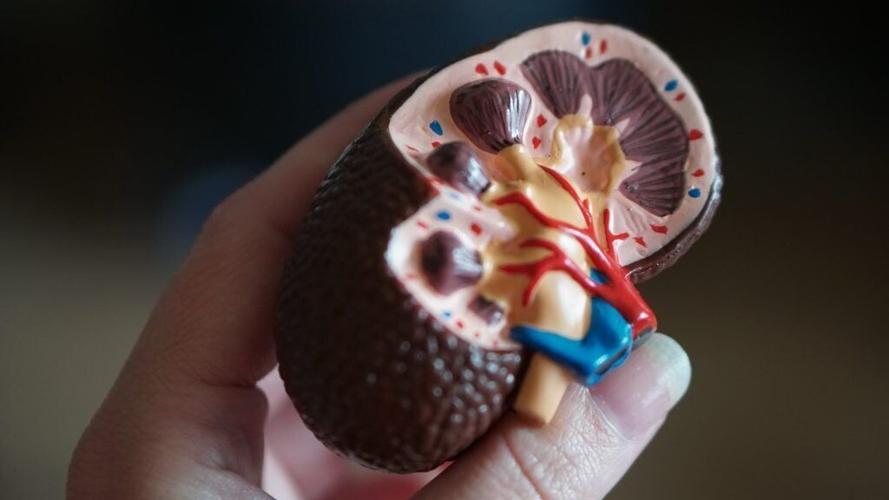 Man receives life-saving kidney donation from his best friend