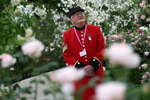 AI talking trees feature at Chelsea Flower Show