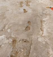 Humans present in North America 10,000 years earlier than thought