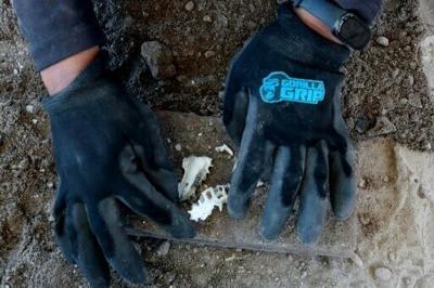 Mexican cartel gunmen sentenced to 141 years in prison